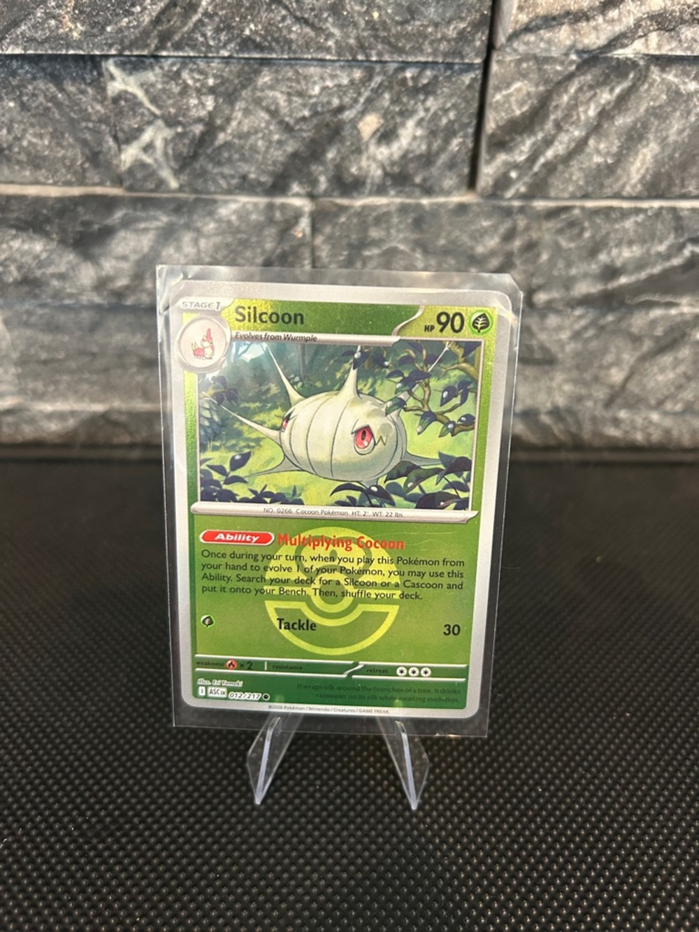 Pokemon Silcoon‎ 012/217 Reverse Holo Rare from Ascended Heroes Set M/NM
